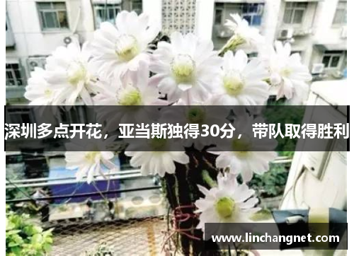 深圳多点开花，亚当斯独得30分，带队取得胜利